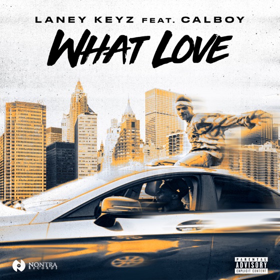 Cover artwork for What Love (feat. Calboy)