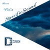 Specific Sound, Vol.5, 2020