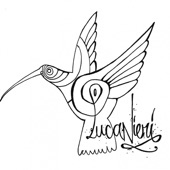 Luca Nieri - Hummingbird