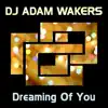 Stream & download Dreaming of You - Single