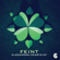 The Journey (feat. Veela) - Feint