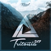 Tritonia 317 artwork