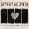 Why Won't You Love Me - Single