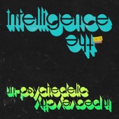 The Intelligence - Auteur Detour