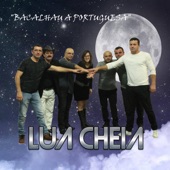 Vira da lua cheia artwork