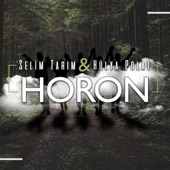 Horon (feat. Hülya Polat) artwork