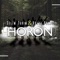 Horon (feat. Hülya Polat) artwork