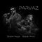 Parvaz (feat. Babak Amini) - Single