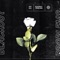 BROTHER - Blackout Problems lyrics