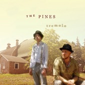 The Pines - Shiny Shoes