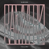 Falling (Rasmus Faber Remix) artwork