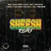 Stream & download Sheesh (feat. Rauw Alejandro, Joyce Santana, C. Tangana, Eladio Carrión, Pablo Chill-E, ECKO & Young Martino) [Remix] - Single