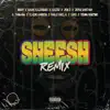 Sheesh (feat. Rauw Alejandro, Joyce Santana, C. Tangana, Eladio Carrión, Pablo Chill-E, ECKO & Young Martino) [Remix] - Single album lyrics, reviews, download