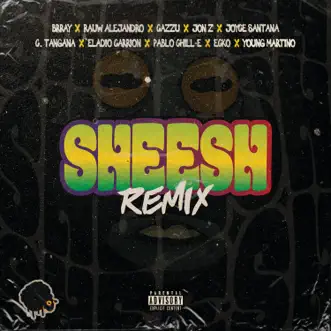 Sheesh (feat. Rauw Alejandro, Joyce Santana, C. Tangana, Eladio Carrión, Pablo Chill-E, ECKO & Young Martino) [Remix] by Brray, Jon Z & Cazzu song reviws