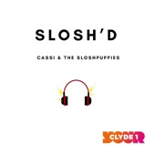 Slosh'd artwork