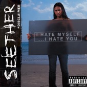 Seether - Gasoline