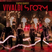 Vivaldi Storm artwork