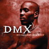 DMX - It's Dark and Hell Is Hot  artwork