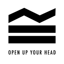 Open Up Your Head artwork