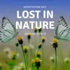 Lost in Nature - Healing Songs album lyrics, reviews, download
