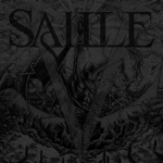 Saille - Mirror Motions