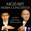 Lin Jiang - Horn Concerto No. 4 in E-Flat, K. 495: 1. Allegro