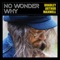 No Wonder Why (feat. The Once) - Bradley Arthur Maxwell lyrics