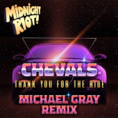 Thank You for the Ride (Michael Gray Extended Remix) artwork