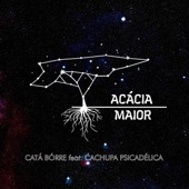 Catá Bórre (feat. Cachupa Psicadélica) artwork