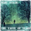 The Taste of Tears - Single