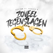 Zoveel Tegenslagen artwork