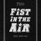 Fist in the Air (feat. Skyzoo, Knytro & Relly) - Phro. lyrics