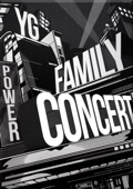 2014 YG FAMILY CONCERT IN SEOUL LIVE