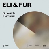 Otherside (Nils Hoffmann Extended Remix) artwork