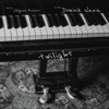 Dominik Wania - Transient