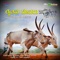 Bellakottana Mungari - Basavaraj Givari & Sujatha Dutt lyrics