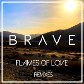Flames of Love (Extended Mix) artwork