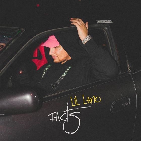 Cover artwork for facts