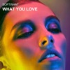 What You Love - Single