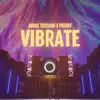 Vibrate - Single album lyrics, reviews, download
