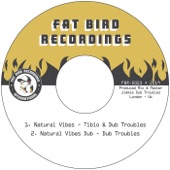 Dub Troubles - Natural Vibes