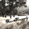 Dear Sincerely - EP