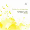 Schubert - Quartetto Foné plus Franco Rossi album lyrics, reviews, download