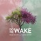 Do We Wake - Dear Gravity & Simon Wester lyrics