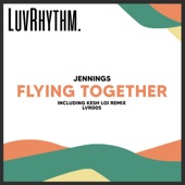 Flying Together artwork