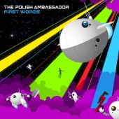 The Polish Ambassador - Kill the World at Night