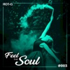 Feel the Soul 003