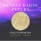 Only Temporary (Solidisco Remix) - Bronze Radio Return lyrics