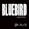 Bluebird (Versión Acústica) - Single album lyrics, reviews, download
