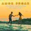 Amor Fugaz (feat. Los Tekis) - Single